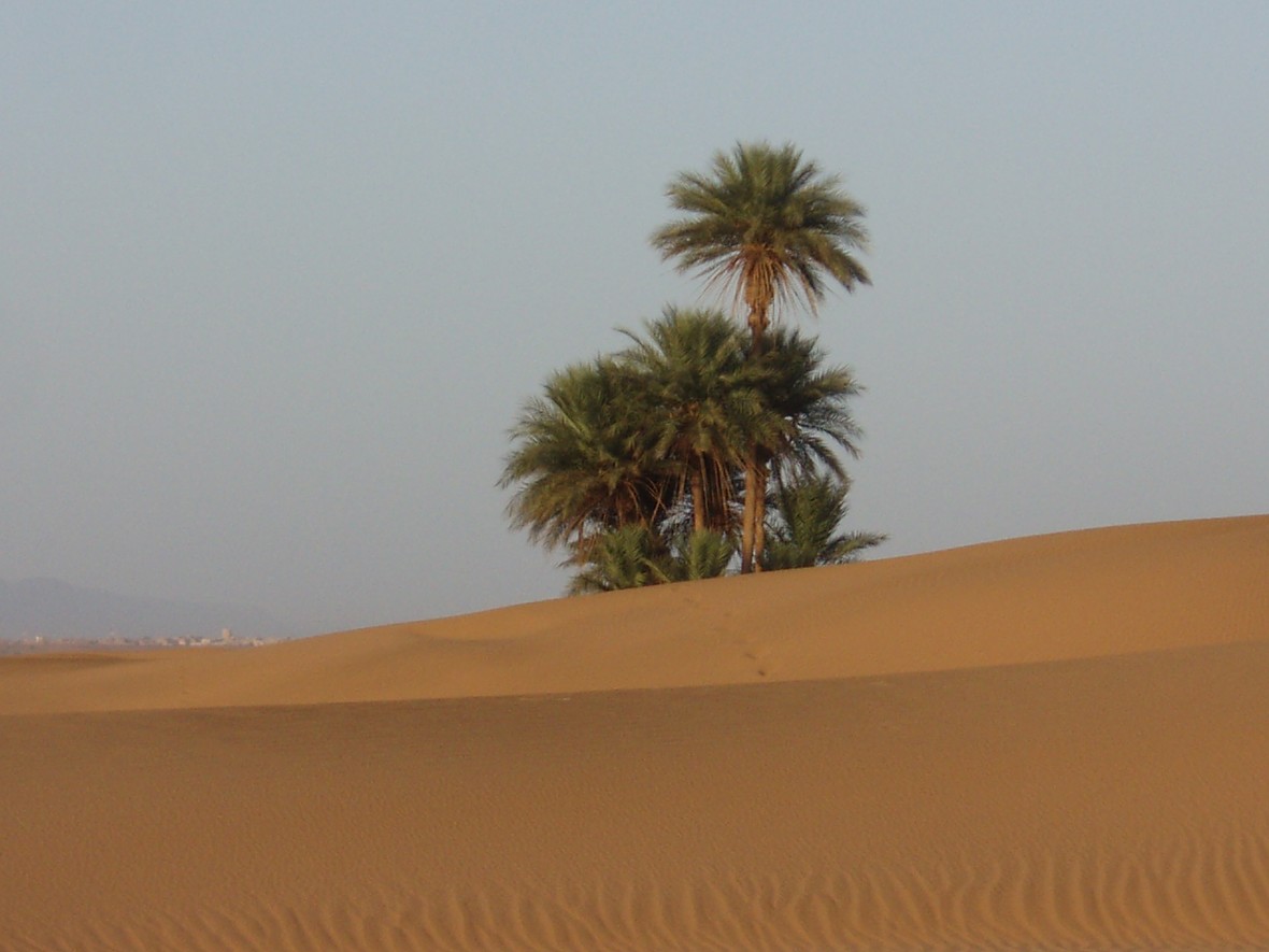 désert Zagora, sud Maroc