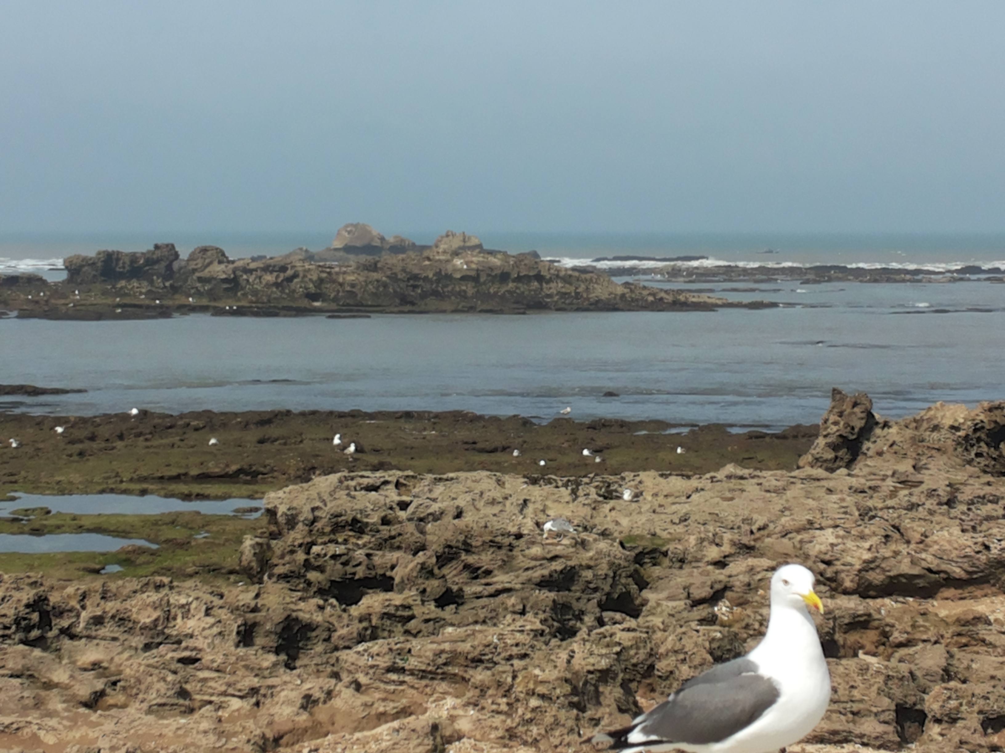 Essaouira_2