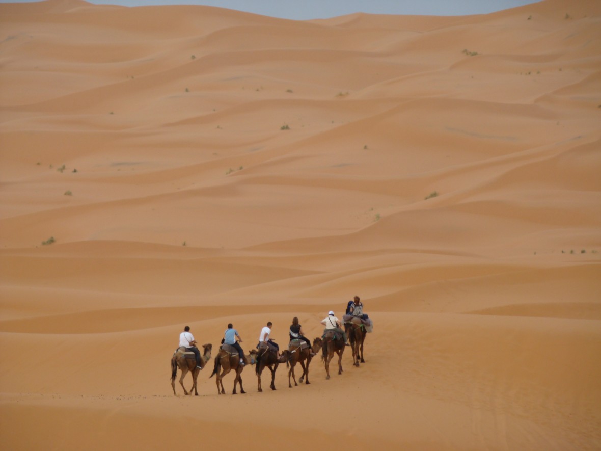 désert et anti-atlas- sud Maroc