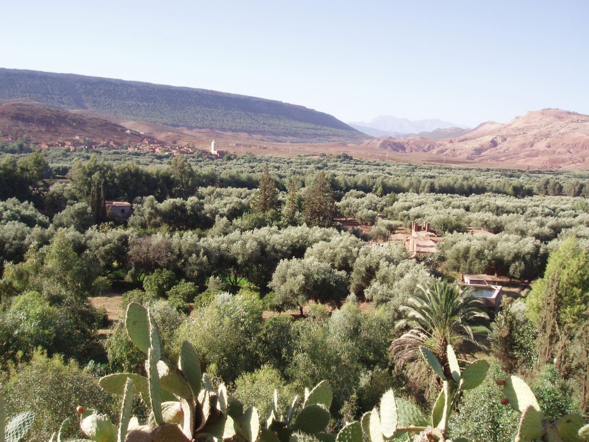 La vallée du Zat, haut Atlas Maroc