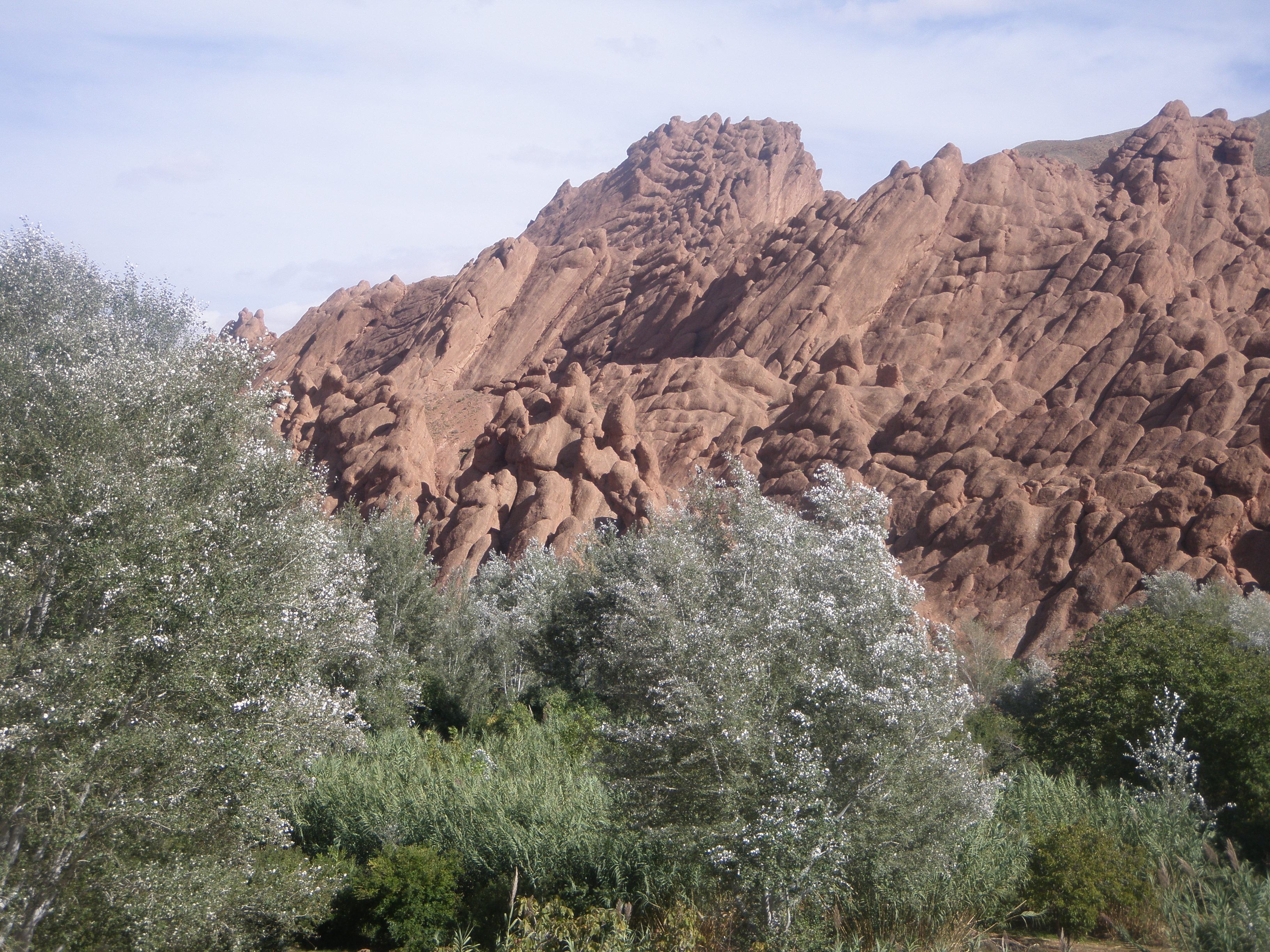 dades2