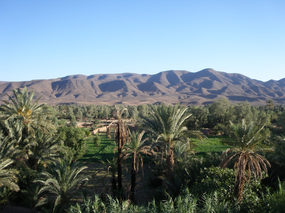 Vallée du drâa - maroc du sud - région Zagora