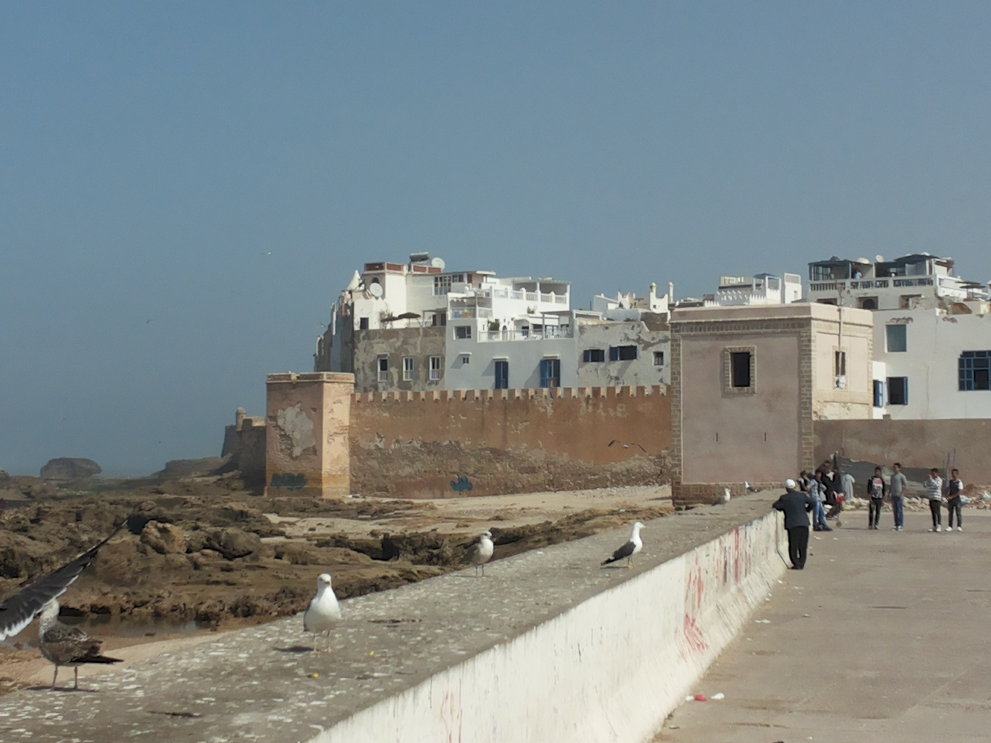 essaouira3