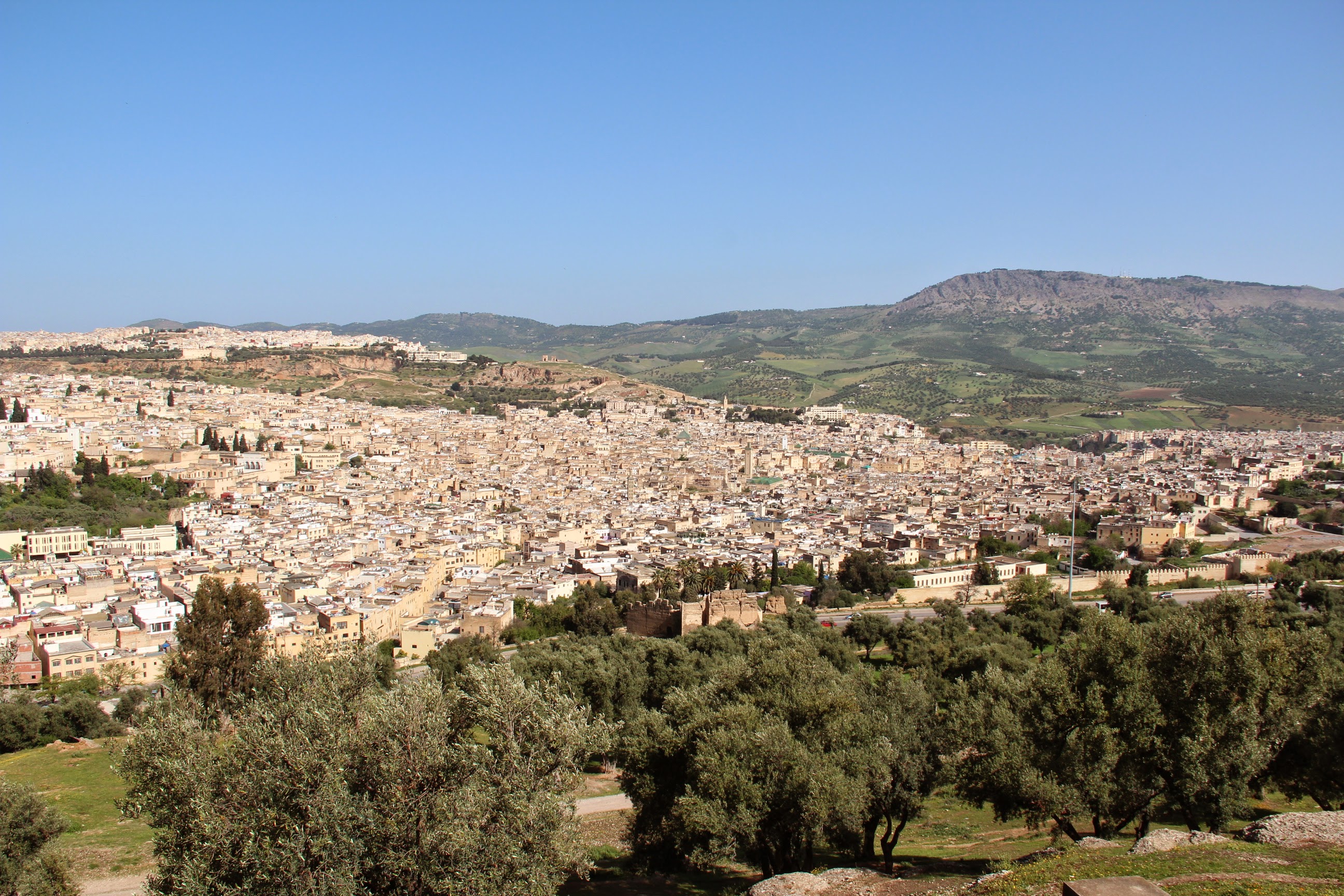 fes_vue_ensemble