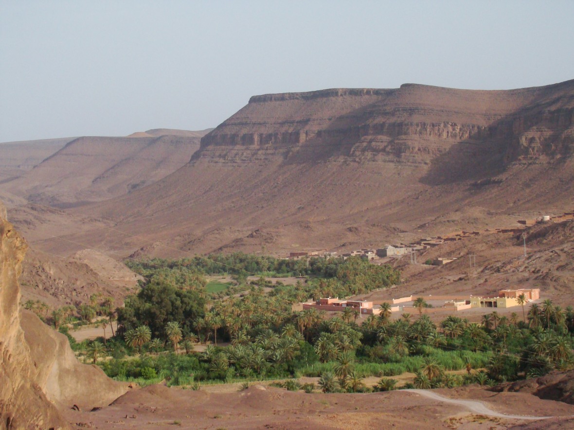 désert et oasis