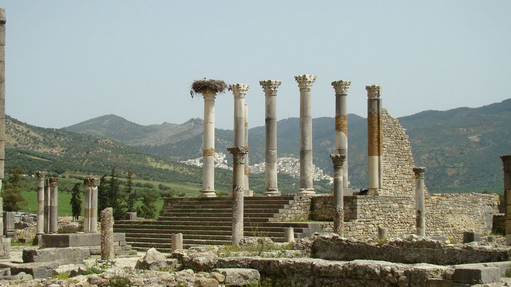 volubilis3